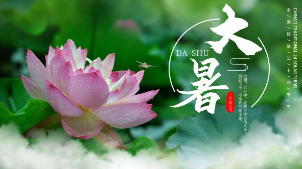 今日大暑：炎炎夏日，注意防暑